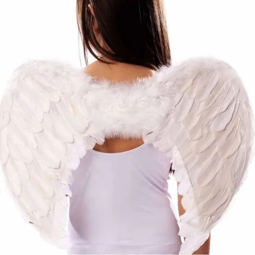 ASA ANJO 55 X 35